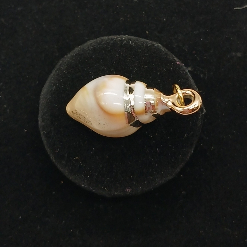 32x15mm Golden Seashell Acrylic Pendant #2 - Picture 4 of 5